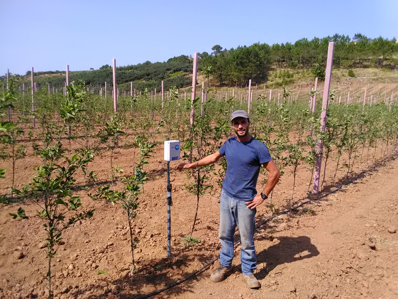 Cristóvão Ferreira tem a sua exploração agrícola no concelho das Caldas da Rainha, onde decidiu investir em 25 hectares de pomar de macieiras. Toda a sua produção é comercializada através de uma organização de produtores, da qual faz parte, o que garante um produto mais competitivo e valorizado. O investimento realizado baseou-se na utilização de modernas técnicas produtivas e na introdução das melhores tecnologias de gestão e controlo da produção.

Este prémio é atribuído com base em quatro pilares fundamentais para o desenvolvimento sustentável dos projetos de jovens agricultores: o associativismo, a criação de emprego, a tecnologia e as práticas agrícolas sustentáveis e inovadoras.

O Concurso é uma iniciativa da Confederação dos Agricultores de Portugal, com o apoio institucional do Ministério da Agricultura e, neste ano se realizou em parceria com a Consulai, Ascenza, Bayer e APED.

Como realçou na cerimónia de entrega do Prémio o presidente da CAP, Eduardo Oliveira e Sousa, “é essencial que os jovens tenham uma rede de apoio que os permita concretizarem os seus projetos e contribuirem para a renovação geracional da agricultura. Este prémio permite dar visibilidade a excelentes projetos desenvolvidos por jovens empreendedores”.

O Cristóvão Ferreira é assim o Jovem Agricultor do Ano 2020 e irá representar Portugal no Concurso Europeu de Jovens Agricultores em 2021.