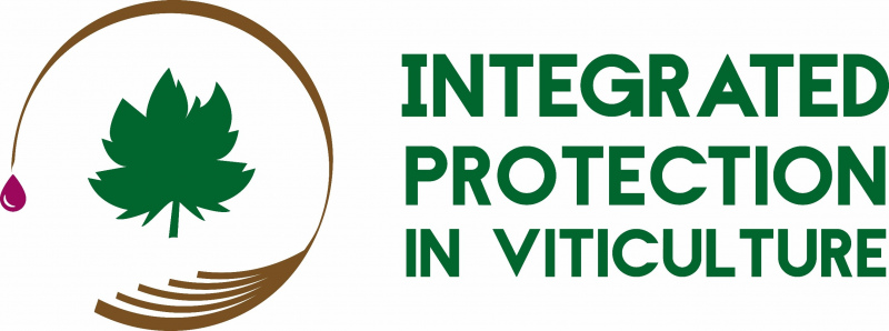 O evento reunirá cientistas, investigadores, técnicos de viticultura e empresas subsidiárias do sector vitícola que desenvolvem ou aplicam estratégias fitossanitárias de protecção integrada ou controlo biológico.

Explica a organização que “a protecção das plantas em viticultura é assunto de discussão, devido aos efeitos indesejáveis do uso de pesticidas na saúde humana e no meio ambiente. A UE lançou várias medidas para reduzir os impactos negativos de práticas de gestão intensivas e promover a transição para métodos de gestão fitossanitária mais ecológicos e sustentáveis. A Investigação, neste campo, está a produzir excelentes resultados, mas a sua implementação prática ainda é um desafio”.

O Douro será, por estes dias, o palco para a partilha dos principais resultados da investigação conduzida a nível nacional e internacional na área da protecção da vinha, com ênfase na maximização da protecção biológica por conservação, na utilização sustentável dos pesticidas e na avaliação de alternativas ao seu uso. Pretende-se, ainda, identificar áreas de investigação promissoras para o futuro do sector vitivinícola.

Nota:&nbsp;nos dias 6 e 7 de Novembro, a conferência terá lugar no Teatro de Vila Real e a 8 de Novembro no Quinta da Pacheca.

Mais informações e inscrições
	http://iobcwprsmeeting2019.admeus.pt/