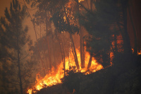 Plano Nacional de Gestão Integrada de Fogos Rurais em consulta pública