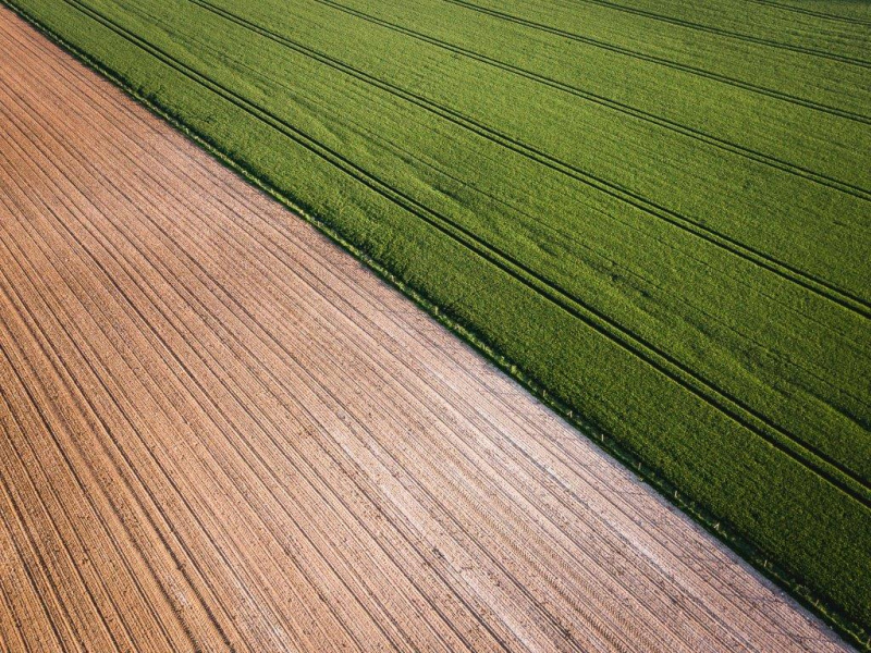 De acordo com o estudo do INE, o VAB da agricultura cresceu 6,5% em 2017, refletindo o acréscimo na produção do ramo agrícola, em resultado do aumento de volume e da estabilização dos preços base, criando condições mais favoráveis ao produtor agrícola do que as observadas em 2016.

Produção Vegetal&nbsp;

Registou um aumento em valor de 3,9%, resultante do acréscimo em volume (+6,6%) e da redução dos preços base (-2,5%).

A maior quebra registou-se nos cereais que, atingidos pela seca que caracterizou o ano agrícola 2016/2017, teve a menor superfície de sempre de cereais de outono /inverno (121,1 mil hectares), e um decréscimo generalizado da produção, que rondou as 193,6 mil toneladas, a terceira mais baixa de sempre.

Por outro lado, sectores como a fruticultura e o azeite obtiveram resultados muito favoráveis, com novos máximos de produção na maçã, cereja, kiwi, laranja e amêndoa.&nbsp;

Quanto ao azeite, a produção ultrapassou 1,47 milhões de hectolitros, o que faz desta campanha a mais produtiva desde que há registos (1915).

Produção Animal&nbsp;

O aumento face a 2016 (+4,9%) deveu-se fundamentalmente a um incremento dos preços base, uma vez que em volume se registou um ligeiro decréscimo.

A produção total de carne situou-se nas 889 mil toneladas, refletindo uma diminuição de 4,4% do total de carne de reses (apenas a carne de bovino registou um pequeno aumento) enquanto a carne de animais de capoeira aumentou 5,3%, com 389 mil toneladas produzidas.

A produção de ovos de galinha ascendeu a 141 mil toneladas, sendo que 118 mil toneladas corresponderam a ovos para consumo.

No que respeita à produção de leite assistiu-se a uma manutenção, em termos globais, com uma subida pouco expressiva (+0,1%) no leite de vaca face a 2016.

A edição de 2017 das «Estatísticas Agrícolas» é o mais abrangente e atual documento do Instituto Nacional de Estatística sobre a agricultura portuguesa, considerando as informações disponíveis.

Documento na íntegra em www.ine.pt