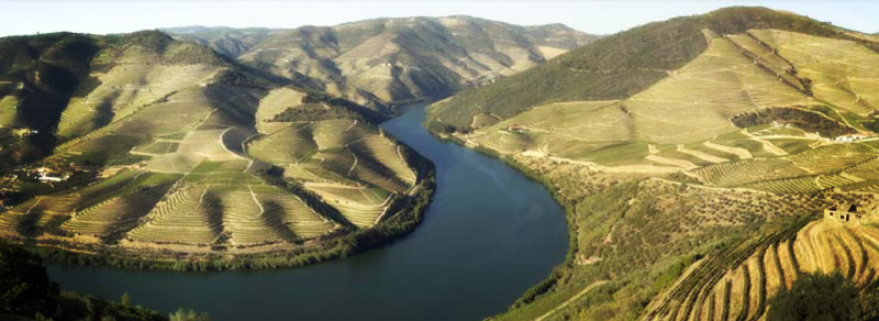 A ADVID instituiu em 2007 um prémio anual para atrair investigadores de diversas áreas científicas para as especificidades técnicas, culturais e sociais da vitivinicultura da Região Demarcada do Douro, por forma a desenvolver e transmitir tecnologias e conhecimentos que permitam o avanço técnico da sua vitivinicultura.

Este Prémio diferencia-se de outras iniciativas já que, ao valor de 5000&nbsp;euros&nbsp;que será atribuído ao trabalho vencedor, acresce ainda a possibilidade dos autores premiados beneficiarem de uma bolsa de igual valor, caso aceitem desenvolver um projeto de investigação dedicado à vitivinicultura da Região Demarcada do Douro.

Convidamos investigadores, alunos de licenciatura, mestrado ou doutoramento, ou equipas de investigação que tenham publicado um trabalho inédito no ano de 2018, a apresentar as suas&nbsp;candidaturas entre até 5 de Março de 2019, em formulário online disponibilizado para o efeito.
	
	De acordo com o nº 2 do Artigo 3º do Regulamento do Prémio, poderão ainda ser considerados para submissão trabalhos propostos por elementos da equipa técnica da ADVID, pela sua Direção ou ainda pelos seus Associados, os quais devem ser recepcionados até dia 5 de Março, através do endereço eletrónico advid@advid.pt

Chama-se ainda a atenção, para o disposto no nº 5 do Artigo 6º “O Prémio não poderá, em qualquer caso, ser atribuído a colaboradores, membros dos Corpos Gerentes ou associados da ADVID, nem por trabalhos financiados, total ou parcialmente, pela ADVID”.

Conheça o regulamento do Prémio aqui e faça a sua candidatura.

Foto: ADVID


	
