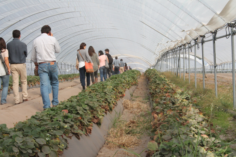 Bruxelas anuncia 1.000 milhões de euros para jovens agricultores