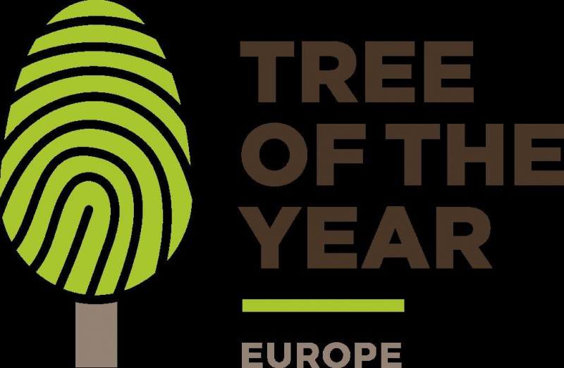 Entramos hoje na última semana de votações do concurso europeu Tree of the Year 2019, que terminam a 28 de Fevereiro, e até ao momento, a Azinheira Secular do Monte Barbeiro tem conseguido reunir o número de votos necessários para a colocar em terceiro lugar.

O “tree hunter” Rob McBride, que tem cooperado com a organização do Concurso ao promover com a sua visita as árvores finalistas durante a fase final da votação, estará amanhã junto da Azinheira Secular que representa Portugal.

No dia 20 de Fevereiro ainda era possível visualizar o evoluir da votação e os três lugares cimeiros estavam nas mãos da Federação Russa, que conquistou 28.581 votos para o Carvalho de Abramtsevo, seguida da Amendoeira de Snowy Hill em Pécs, na Hungria e, em terceiro lugar, com 21.194 votos, a Azinheira Secular de Mértola.

As votações continuam até 28 de Fevereiro, mas estarão ocultas a partir de amanhã, dia 22 de Fevereiro.

Votações online disponíveis em
	https://www.treeoftheyear.org