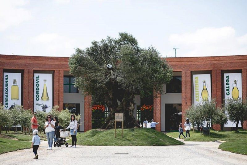 Durante 9 dias, a 55ª Feira Nacional de Agricultura / 65ª Feira do Ribatejo foi o centro das atenções da agricultura nacional, com uma presença alargada de expositores, representando quase todo o sector e apresentando simultaneamente características tradicionais e festivas, que fazem desta feira um acontecimento único no país.

Tendo escolhido como tema central o sector do “Olival e Azeite”, a FNA18 deu a conhecer algumas das mais avançadas tecnologias e novidades da actividade agrícola, e foi anfitriã da primeira edição do World Olive Oil Summit, que incluiu a Conferencia Internacional onde participaram os comissários Phil Hogan e Carlos Moedas, acompanhados do Primeiro-ministro António Costa, e do ministro da Agricultura, Capoulas Santos.

Em conversa com a comunicação social, o administrador executivo do Centro Nacional de Exposições, Luís Mira, mostrou satisfação e optimismo com o resultado da FNA18, quer pela quantidade de visitantes, que já ultrapassam os 202 mil quando ainda falta apurar os números finais, quer pelo elevado interesse na participação de expositores e aumento da área ocupada pelas empresas que quiseram marcar presença no evento para divulgação dos seus produtos e serviços, “presença e investimento na Feira” que muito agradeceu.

O também secretário-geral da Confederação dos Agricultores de Portugal, Luís Mira, não deixou de referir as presenças institucionais, com um destaque muito especial para o sempre entusiasta Presidente da República, Marcelo Rebelo de Sousa, que inaugurou o certame na tarde do dia 2 de junho.

A merecer também destaque particular, Luís Mira salientou a participação do Comissário Europeu da Agricultura e Desenvolvimento Rural, Phil Hogan, que debateu em Santarém com agricultores de vários países temas quentes como a diminuição dos fundos comunitários para o setor agrícola e considerou que a “Feira Nacional de Agricultura é cada vez mais um evento internacional devido à sua dimensão e à presença de muitas individualidades estrangeiras.”