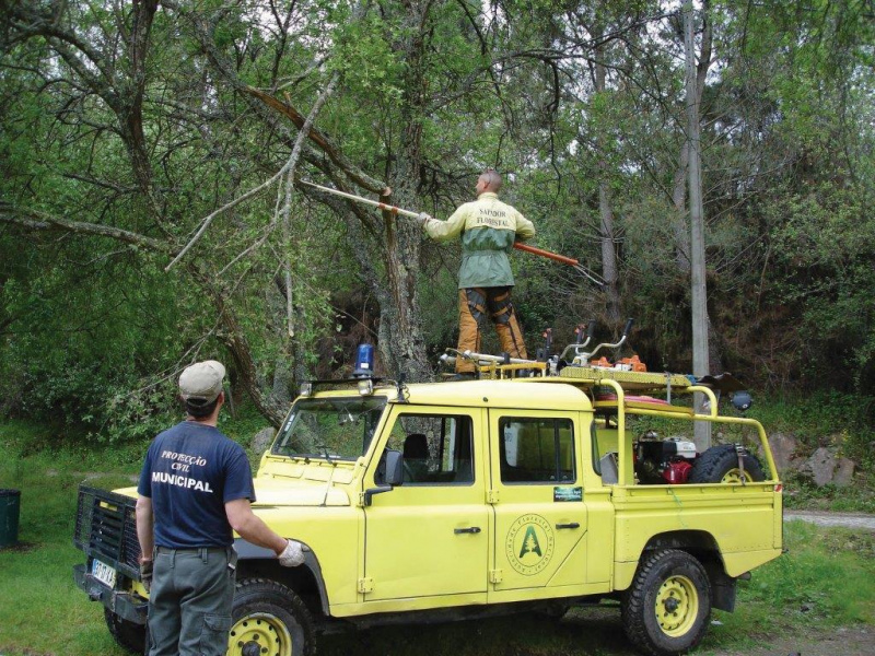 Governo adia coimas sobre a limpeza da floresta para junho