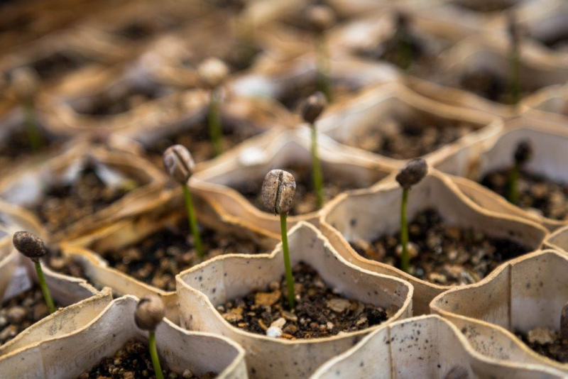 O workshop sobre Resíduos Agrícolas realiza-se no Auditório da Agencia Portuguesa do Ambiente (APA) e insere-se nas ações sobre o PERNU – Plano Estratégico para os Resíduos Não Urbanos e a sua Avaliação Ambiental Estratégica.

Resíduos hospitalares, de construção e demolição e industriais completam a iniciativa da APA noutros horários. Os interessados devem consultar o site: https://www.apambiente.pt/

O Workshop sobre Resíduos Agrícolas tem entrada livre, mas sujeita a inscrição até à véspera, implicando um registo por participante:


	https://www.eventbrite.pt/e/bilhetes-workshop-pernu-residuos-agricolas-51972548291


	



	


LOCALIZAÇÃO:

Auditório da Agência Portuguesa do Ambiente

Rua da Murganheira, 9/9A

2610-124 Amadora