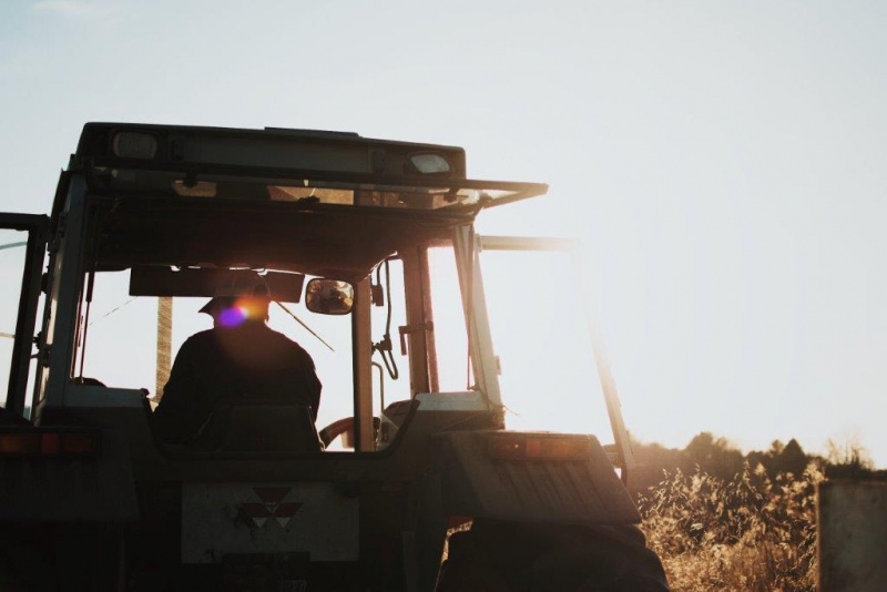 De acordo com o Orçamento de Estado para 2019, os pequenos agricultores, que utilizem gasóleo colorido e marcado com um consumo anual até 2000 litros, têm direito a uma majoração dos subsídios, a conceder pelas áreas governativas da agricultura e do mar, de 0,06 € por litro sobre a taxa reduzida aplicável por força do disposto na alínea c) do n.º 3 do artigo 93.º do Código dos IEC.

Assim, em 2019, a majoração é atribuída aos pequenos agricultores, aos pequenos aquicultores e à pequena pesca artesanal e costeira que durante o ano de 2018 utilizaram gasóleo colorido e marcado com um consumo anual até dois mil litros e que, cumulativamente, se encontravam legalmente constituídos e tinham a sua situação tributária e contributiva regularizada, até à data de 5 de julho de 2019.

O pagamento da majoração de subsídio é efetuado pelo IFAP, I.P., através de transferência bancária, para a conta indicada pelo beneficiário para o efeito. Tal implica que o beneficiário, para poder ser objeto de pagamento, tem de estar inscrito no Instituto de Financiamento da Agricultura e Pescas.


	


Fonte: DGADR